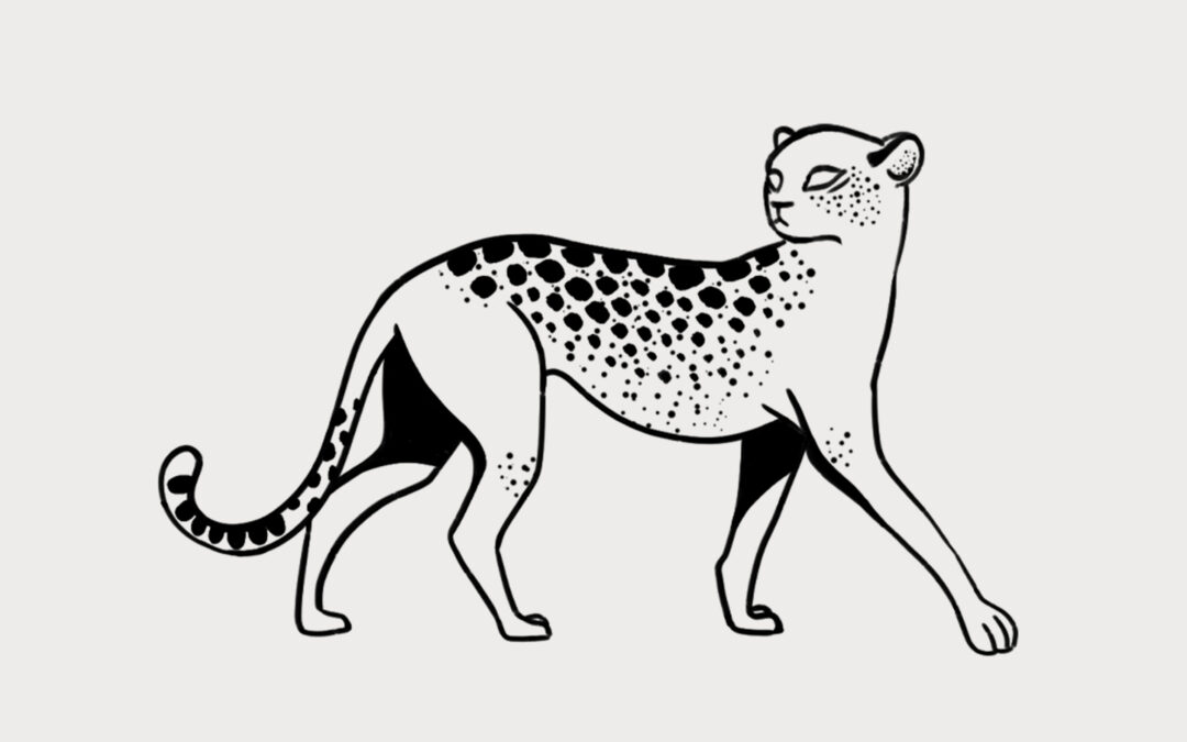 Guépard