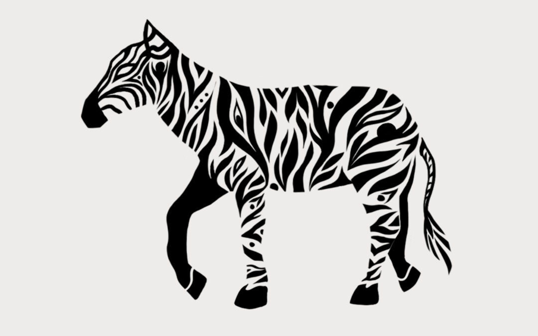 Zebre