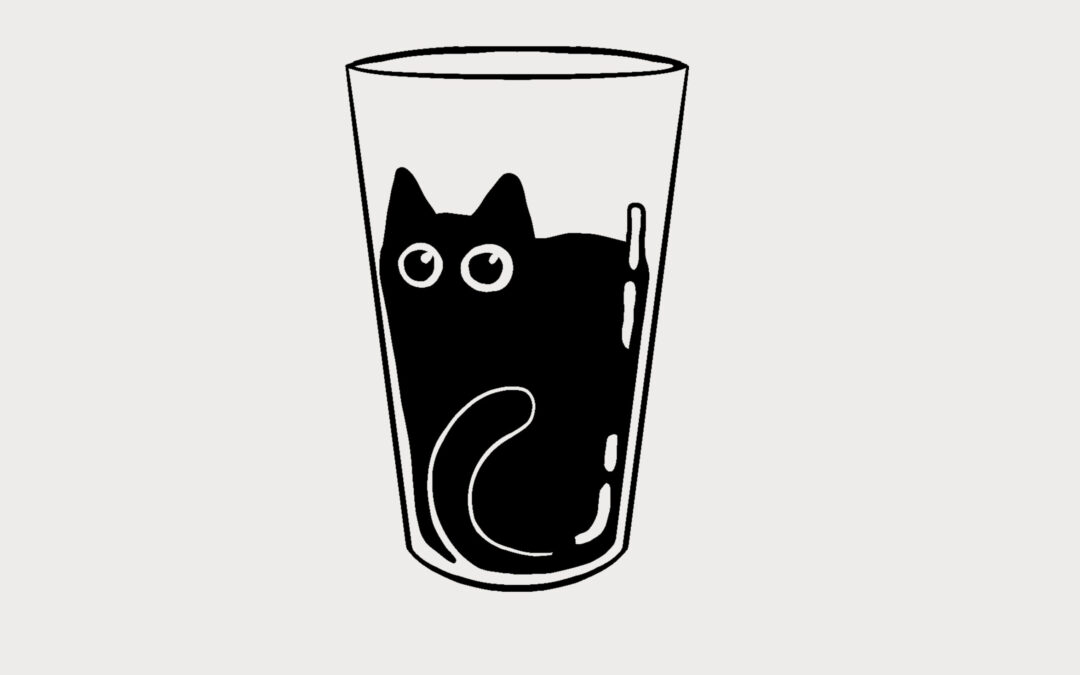 Glass Cat