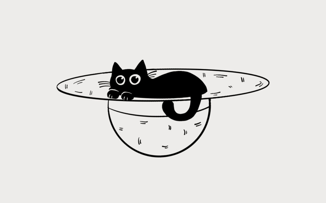 Hat Cat